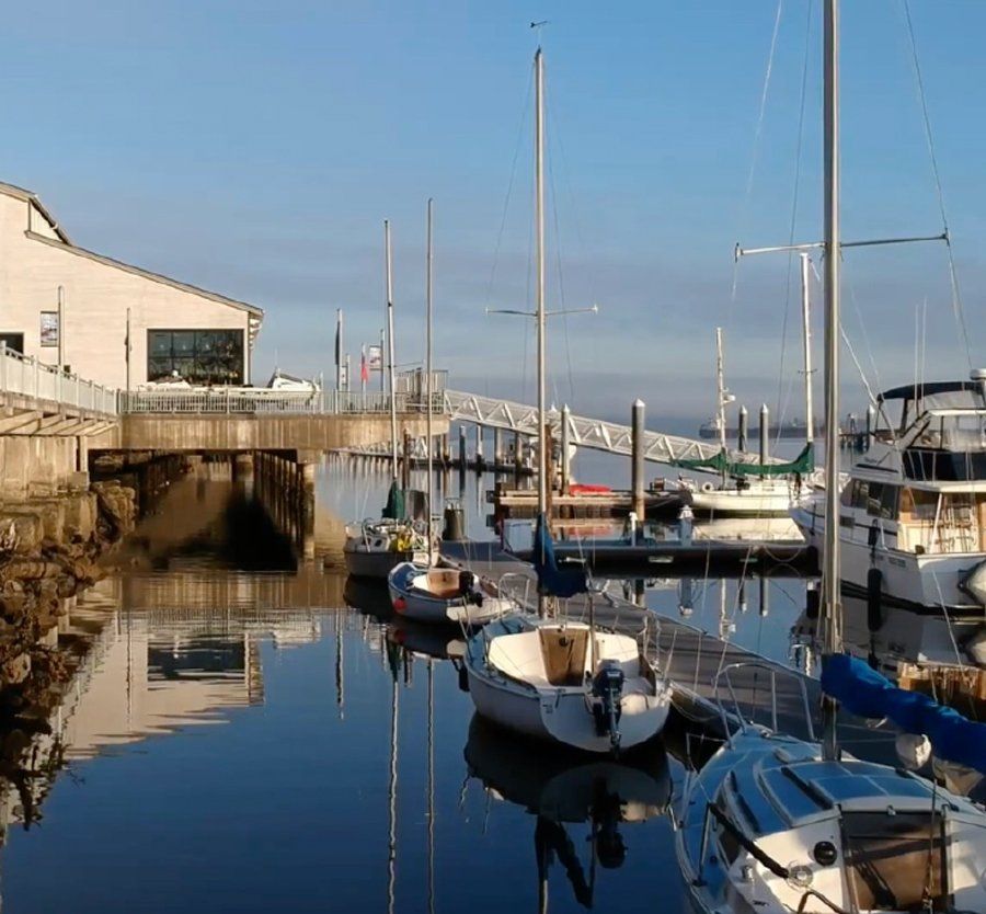Boats in a marina.