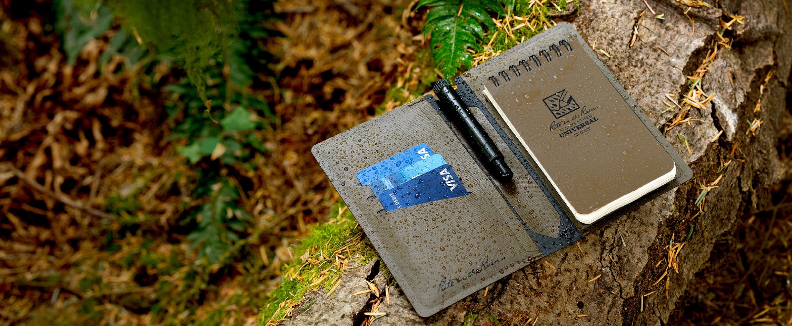 Wallet laying on fallen tree.