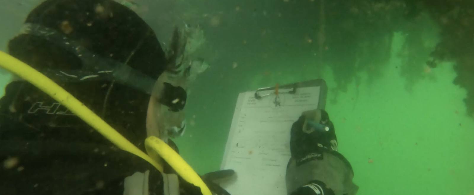 scuba diver underwater writing on water proof paper