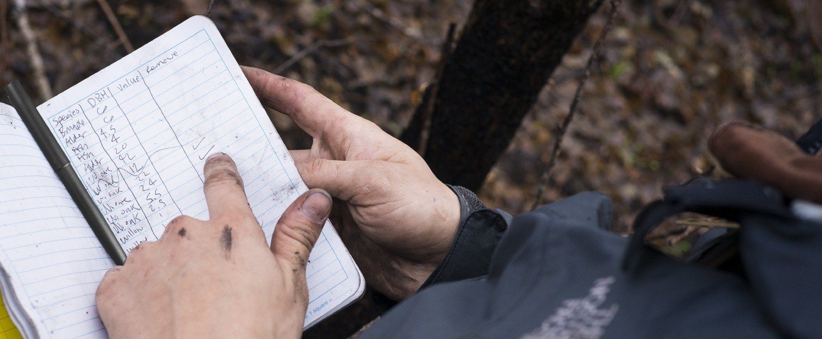 Arborist with dirty hands taking notes