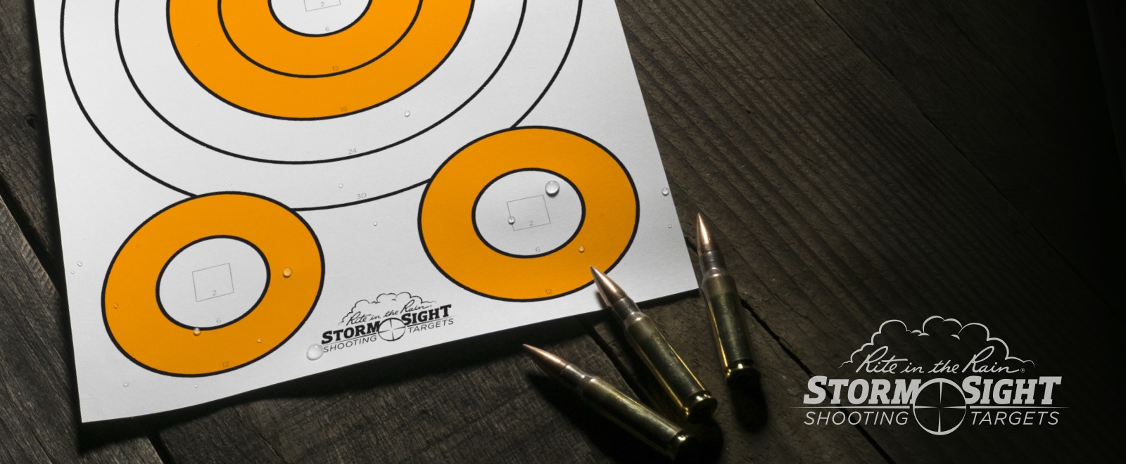 Wet Storm Sight Target with bullets.