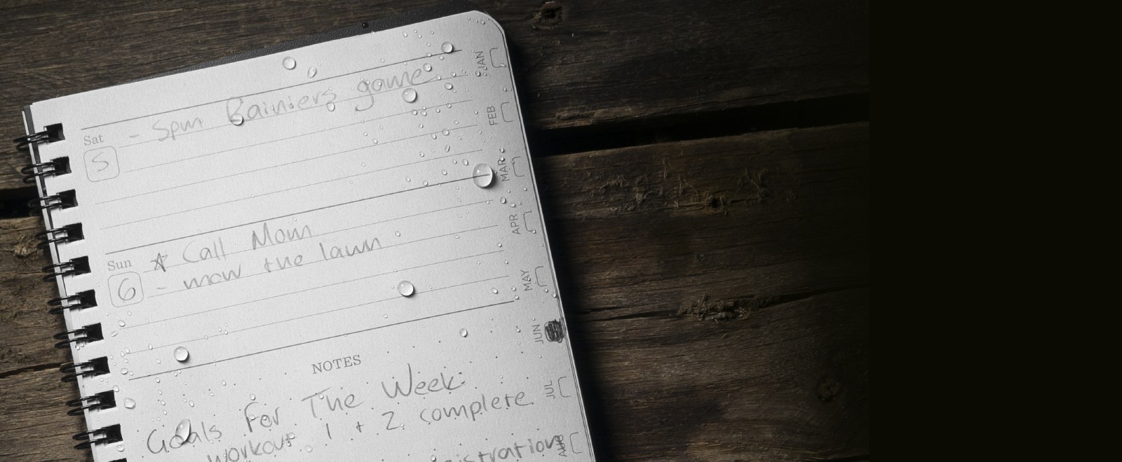Wet planner page with penciled in appointments.