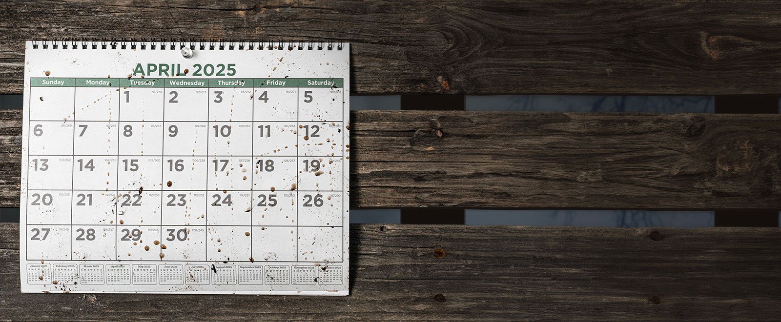 Picture of a muddy calendar hanging on the wall.